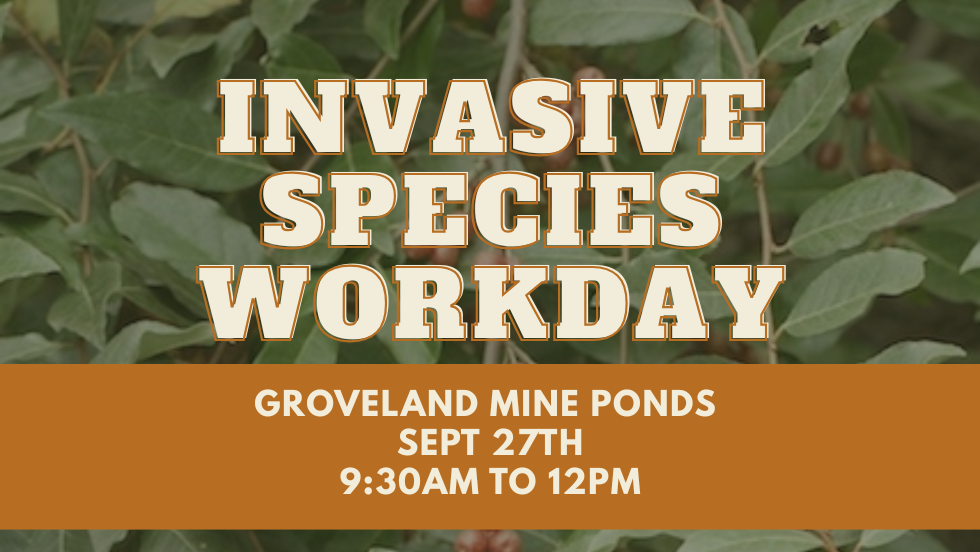 Invasive Species Workday - Groveland Recreation Area