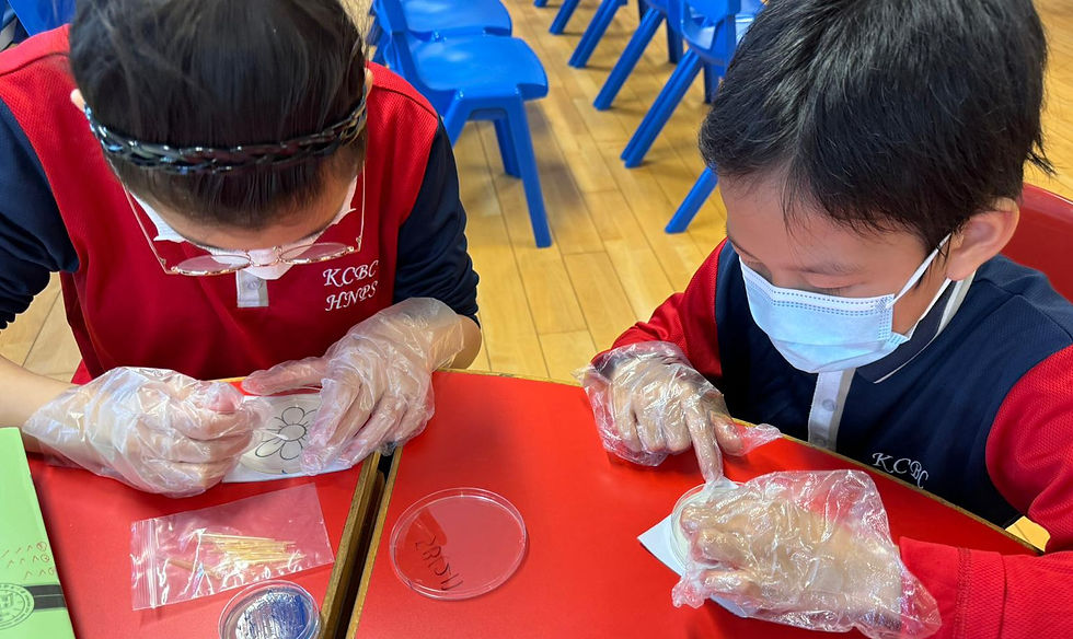 Students creatively engage in painting with colorful bacteria, using petri dishes and templates at a classroom table.