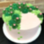 succulent cake