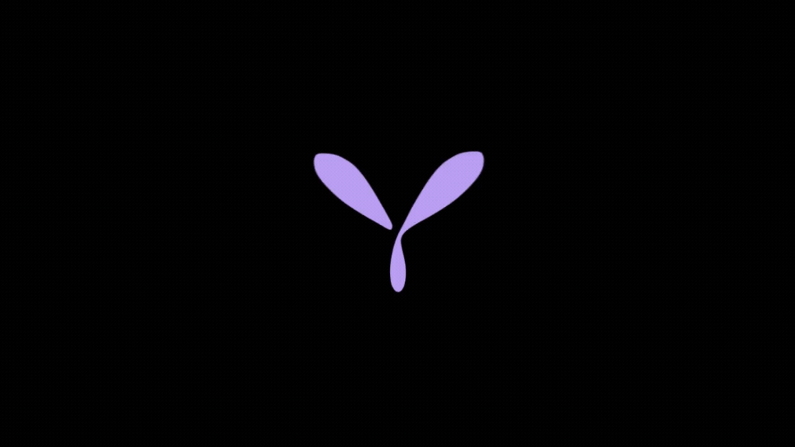Yedn Logo Animation