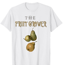 Image 04-09-2025 at 22_edited.png