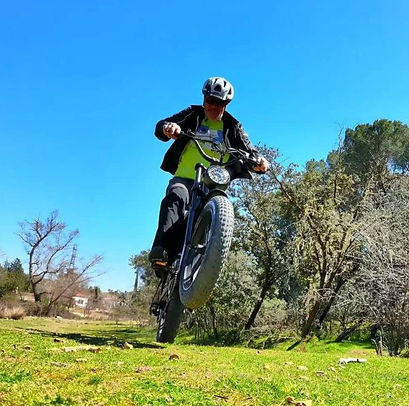 ouxi-v8-fatbike-600x600.jpg