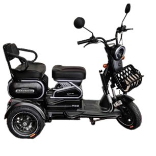 Triciclo elétrico WSD-U1 800W