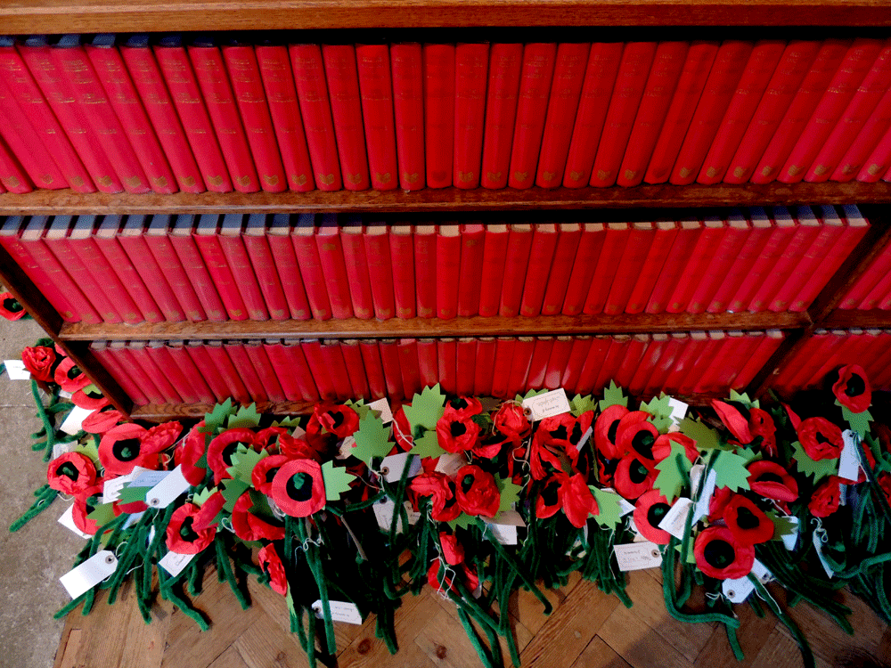 Poppy Installation