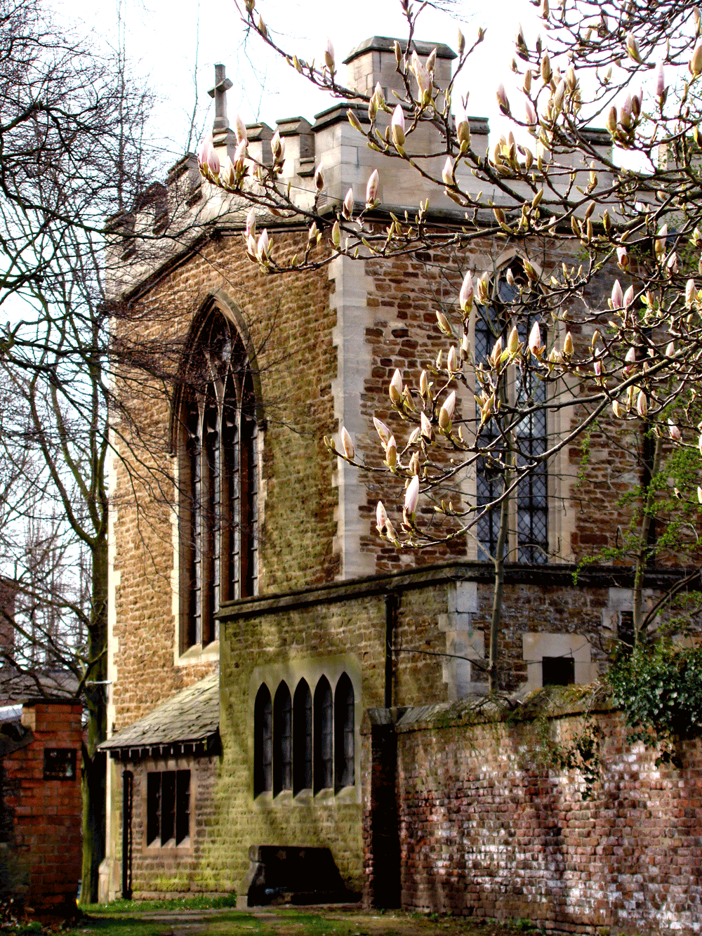 Church-and-magnoia