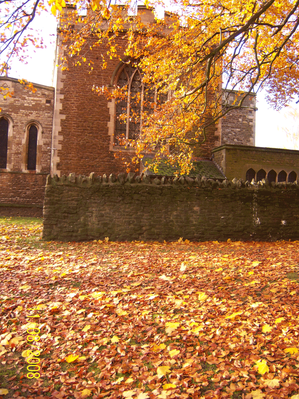 Autumn-leaves