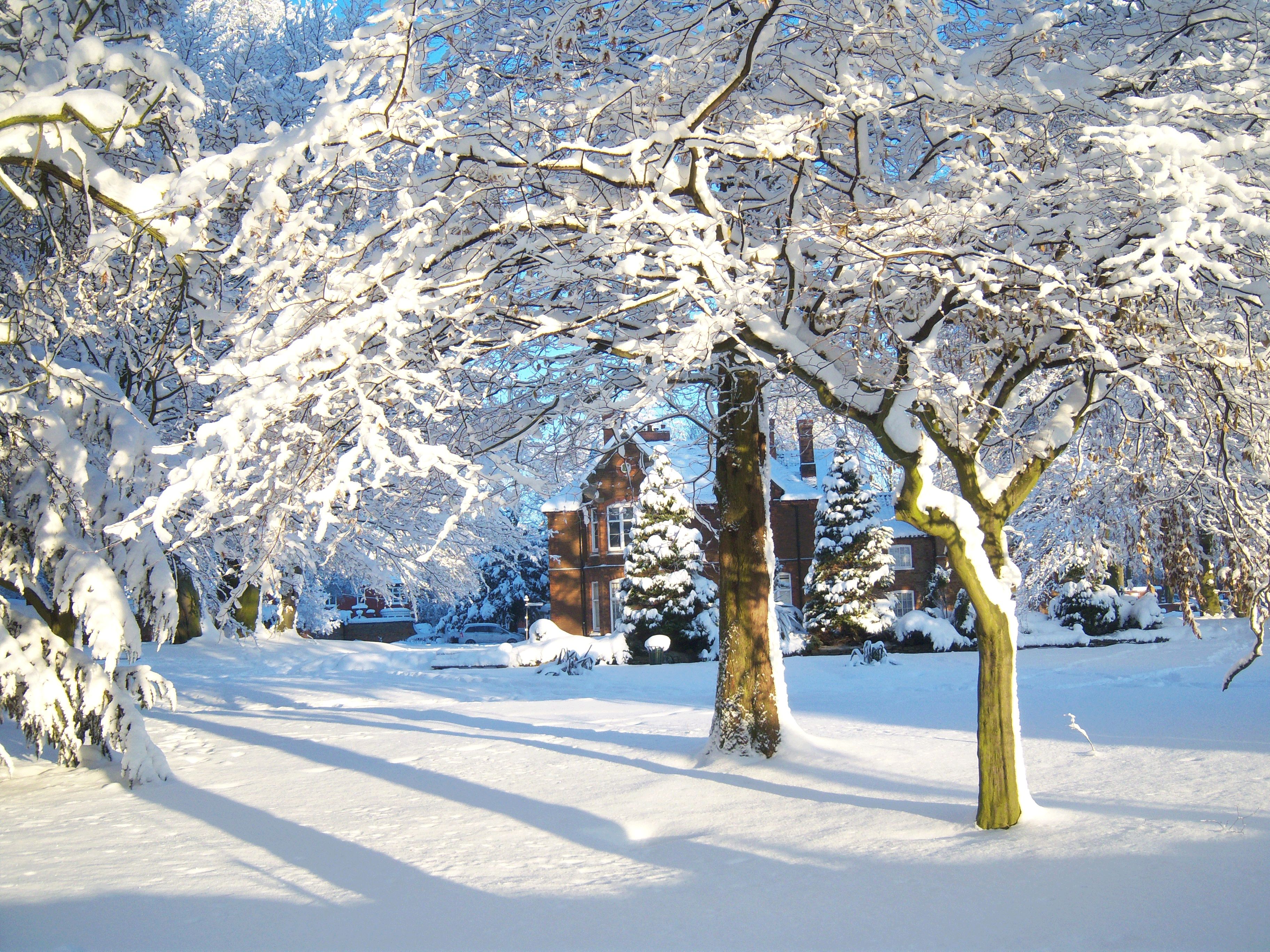 Winter-museumweb