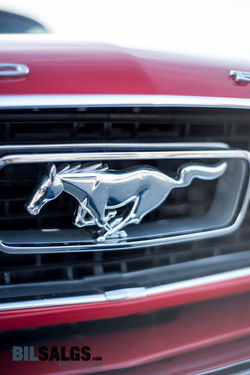 Speed Night TromsoCompass