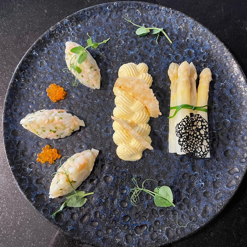 Plate with gourmet food