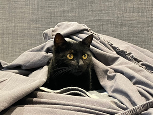 12 von 12 im November 2023