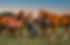 D4439388-6DFD-4748-B585-5B3C42663B2B.jpeg