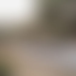 ślub we Włoszech poradnik online