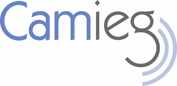 Logo CAMIEG