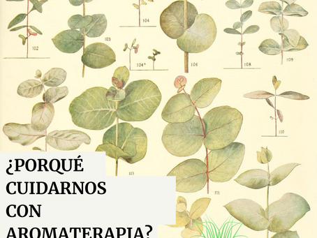 ¿Porqué cuidarnos con aromaterapia?