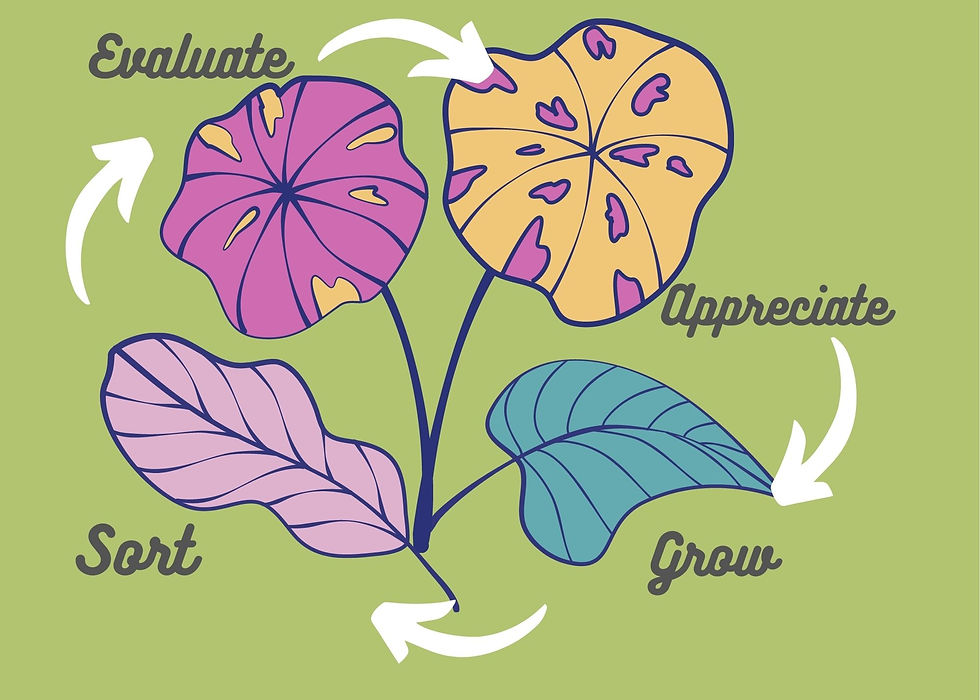 Reflection: You need to do this!