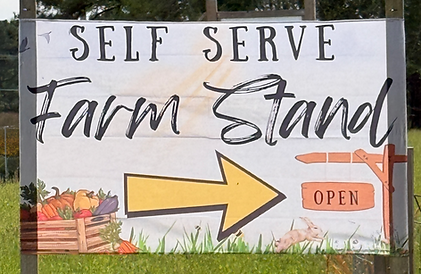 FarmStand_edited.png