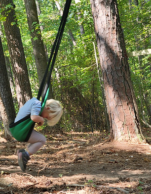 forest swing