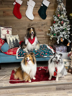 Crosby, Jamee, and CharLee