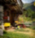 IMG_7311_edited.png
