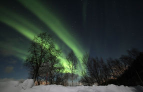 "Experience the thrill of witnessing the Northern Lights on our guided evening tour, with photography tips and tricks