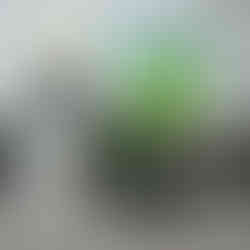 box motor awet untuk kurir harian