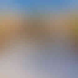 desain 3D dengan fasad dinosaurus