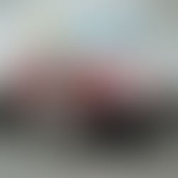 Box motor profesional