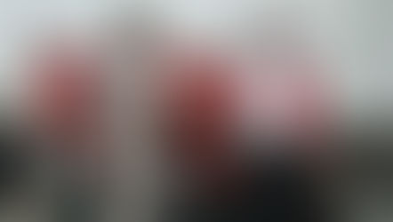 Box motor profesional