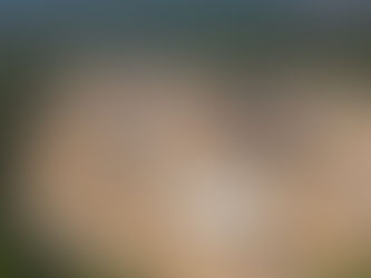 Jasa membangun mini zoo profesional berstandar aman