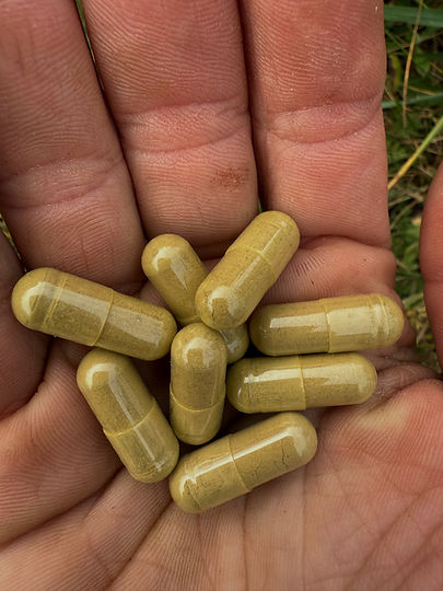 Photo Oct 15 2025, 10 37 07 AM_edited.jp