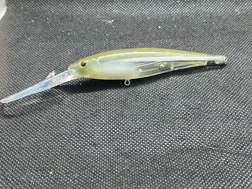Thumbnail: Silverside Flicker Minnow