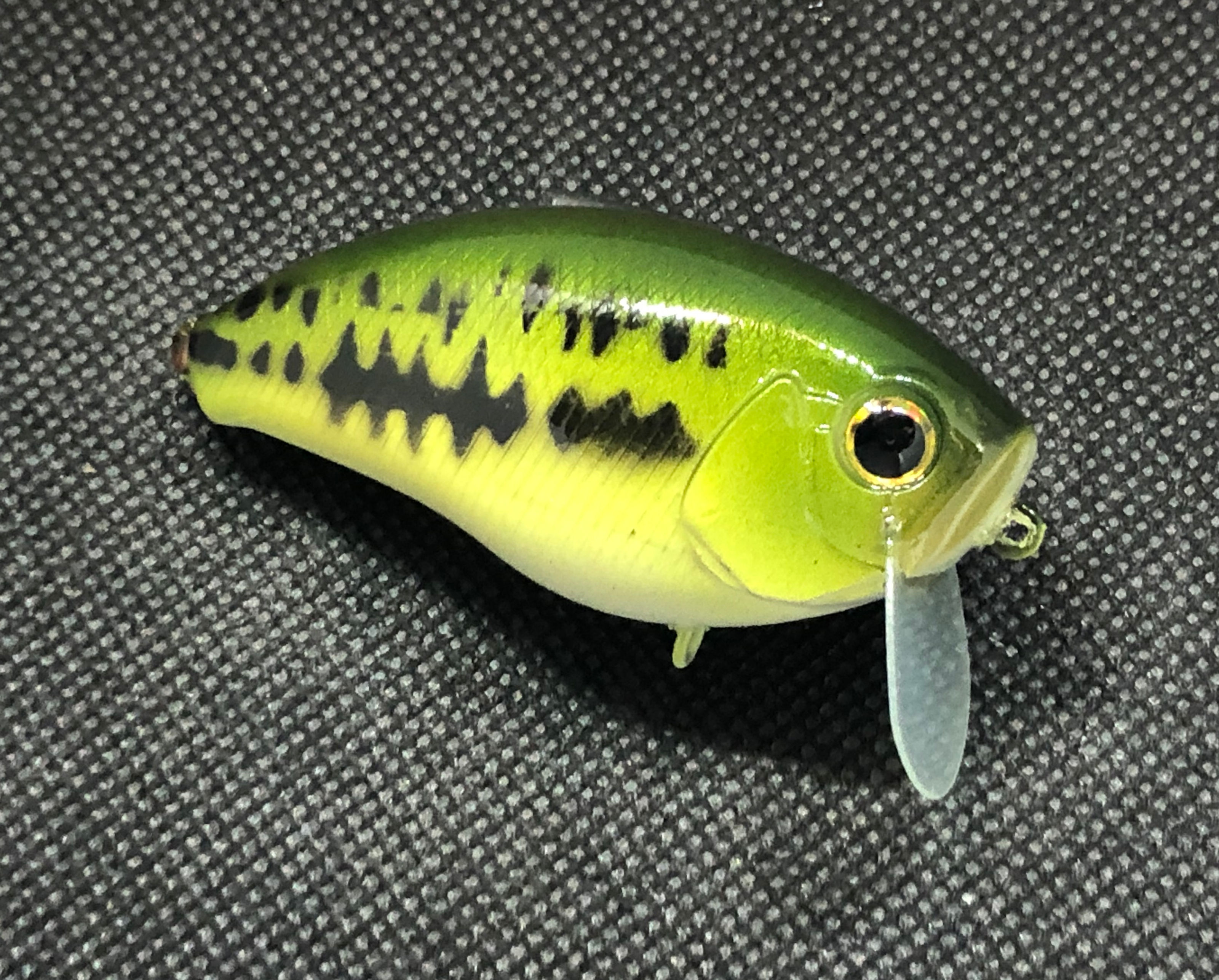 Baby Bass Wakebait