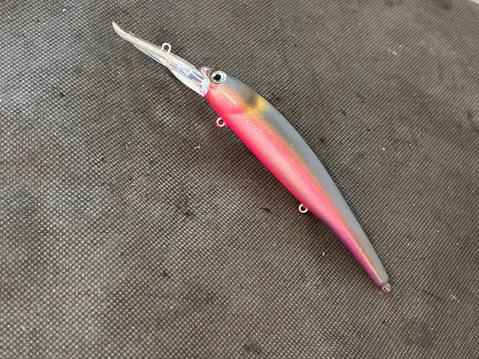 Thumbnail: Pink Great Lakes Alewife Bandit