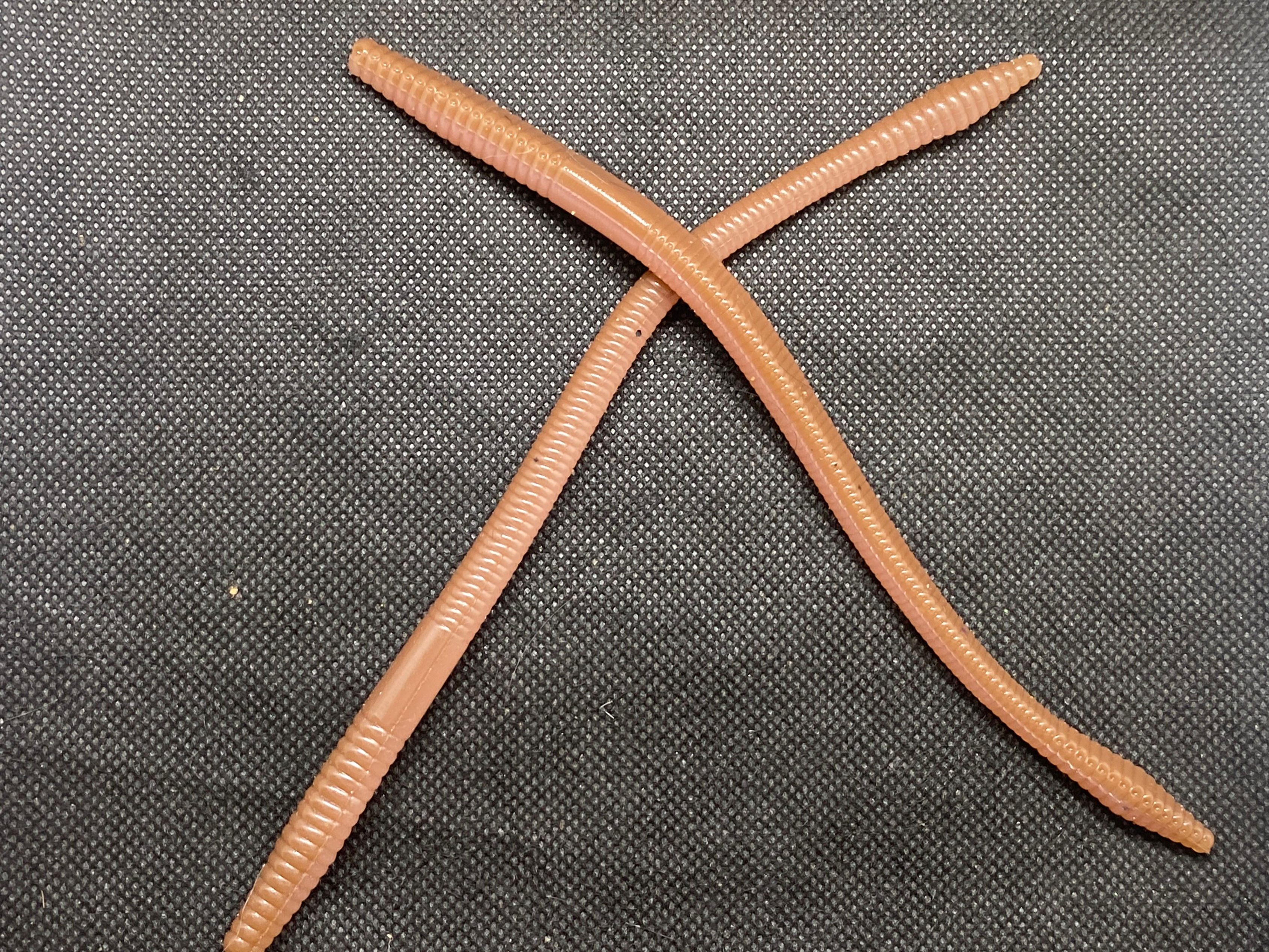 Earthworm McTricky Worms