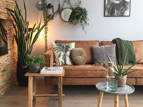 Spring Awakening: Refreshing Your Home for a New Season