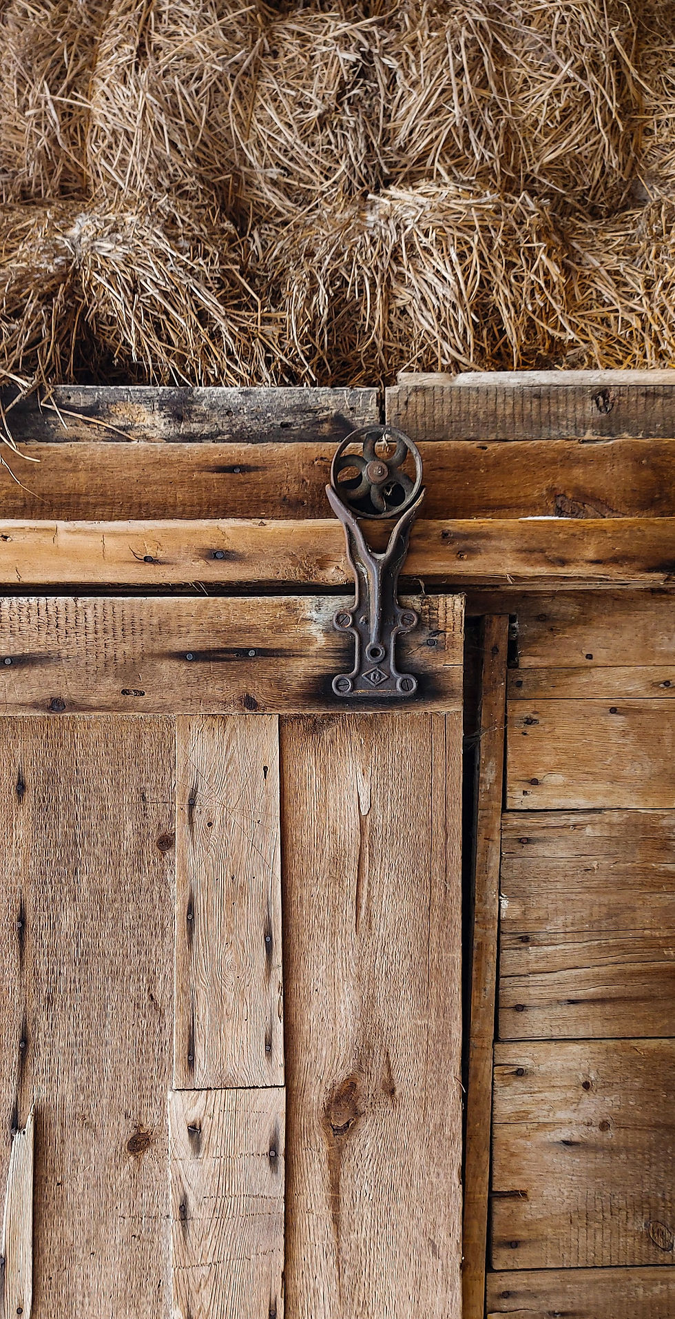 Original barn door at The Wilfrid bed & breakfast