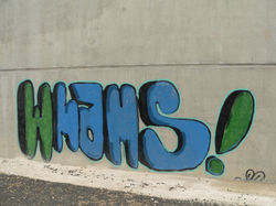 P1070513 (1)