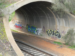 P1070499