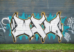 P1070356