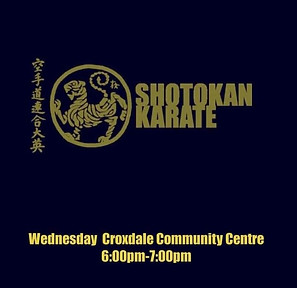 karate logo_edited.jpg