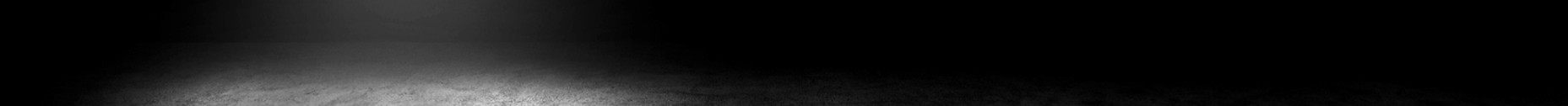 AdobeStock_331259608_edited.jpg