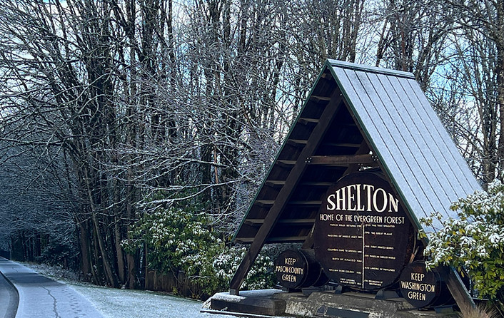 Handyman Express Services Serving Shelton WA