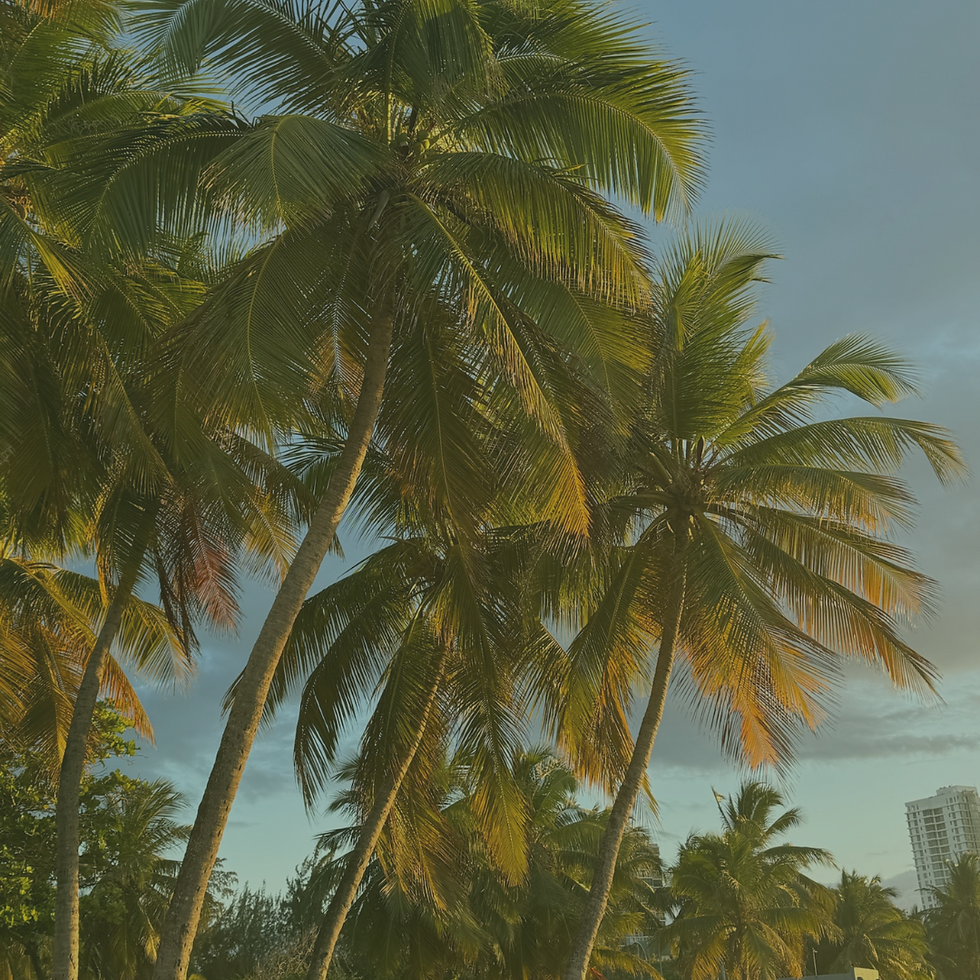 Sunset in Ocean Park, San Juan – Beachside Paradise in Puerto Rico