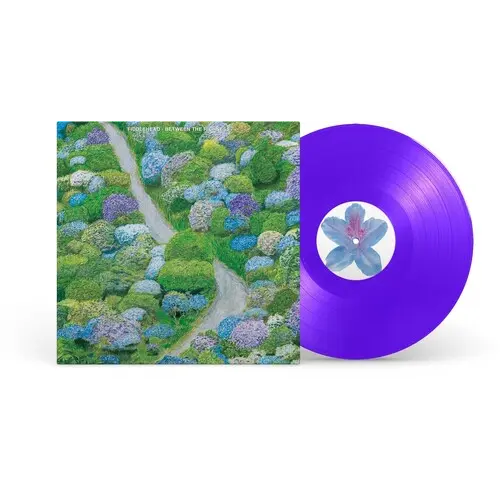 Fiddlehead - Between the Richness (Opaque Violet)