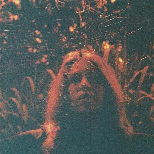 Turnover  Peripheral Vision cd