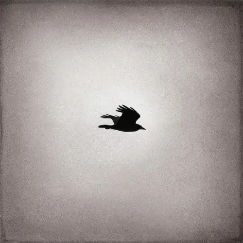 Rama Fugitivos vinilo