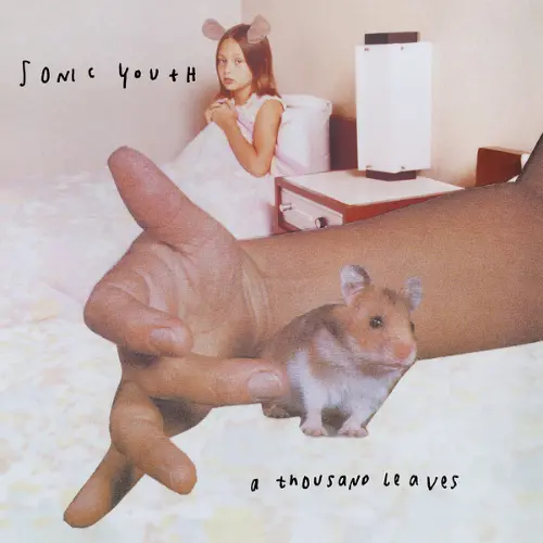 Sonic Youth - A Thousand Leaves