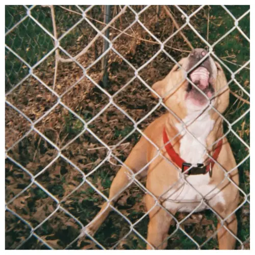 Knocked Loose - Pop Culture