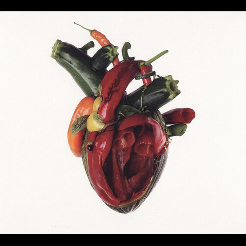 Carcass - Torn Arteries