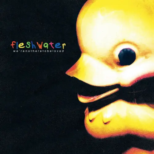 Fleshwater - We're Not Here To Be Loved
